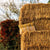 Cotton Weave Pillow 0301