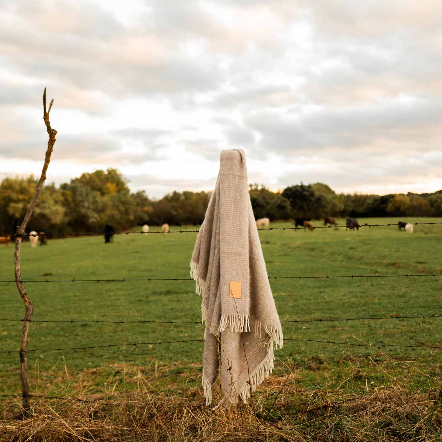 A mohair blanket hanging from a fence in the countryside.