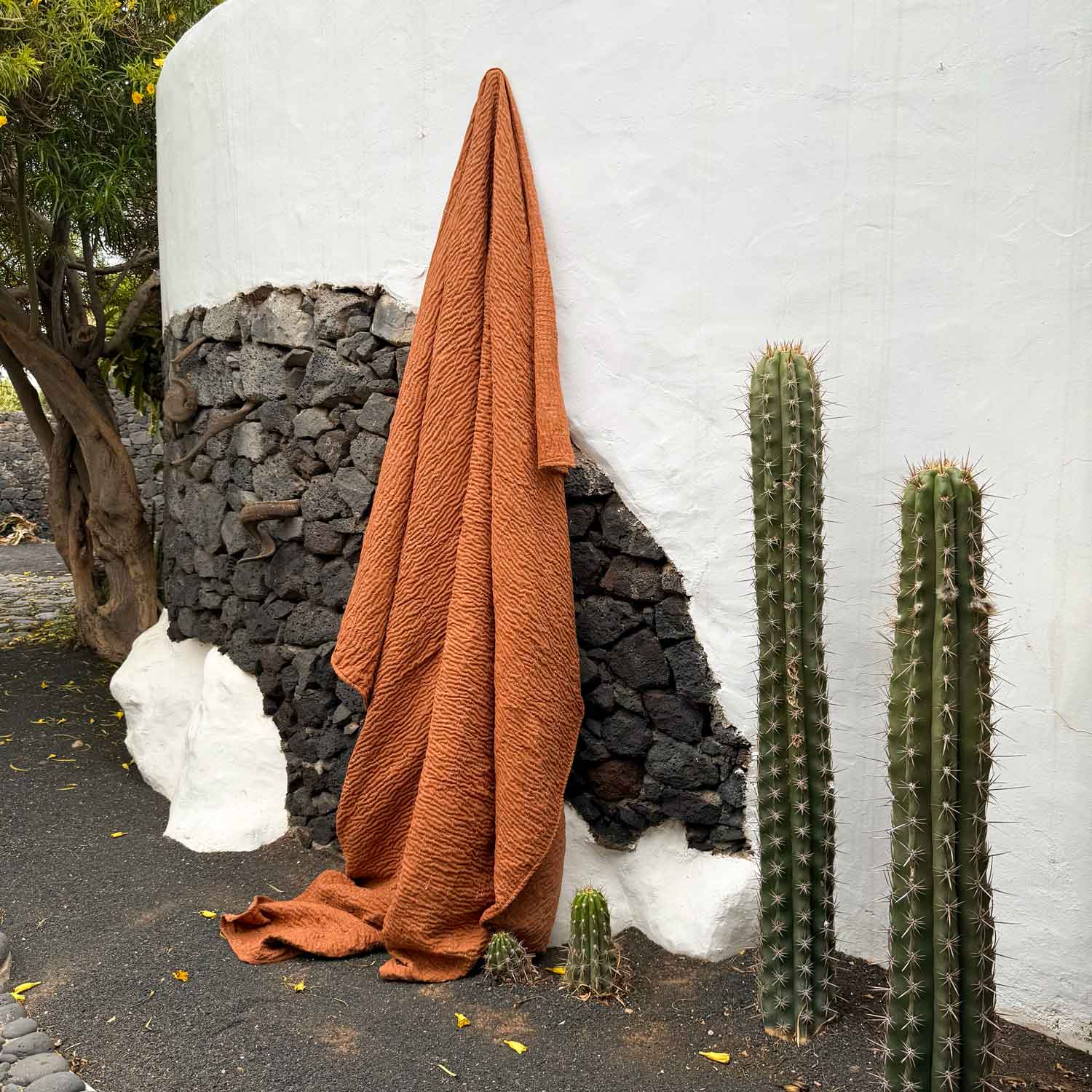Brown textured blanket draped over a cactus against a white wall with a stone base.