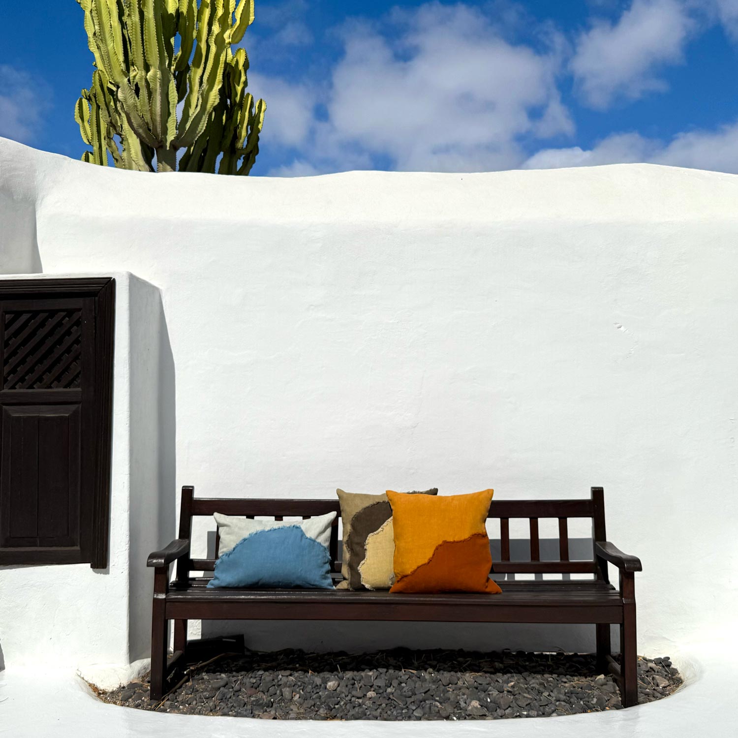 Wooden bench with colorful pillows against a white wall with a cactus in the background