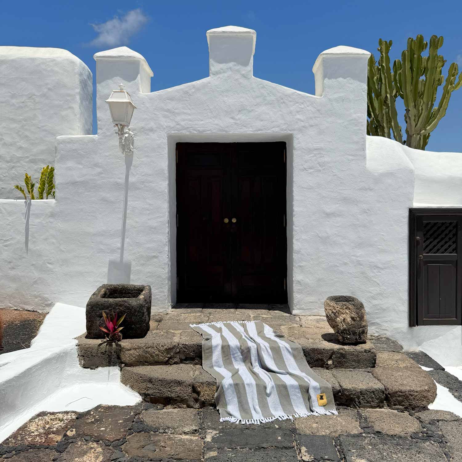 White building with a black door and cactus plants under a blue sky.
