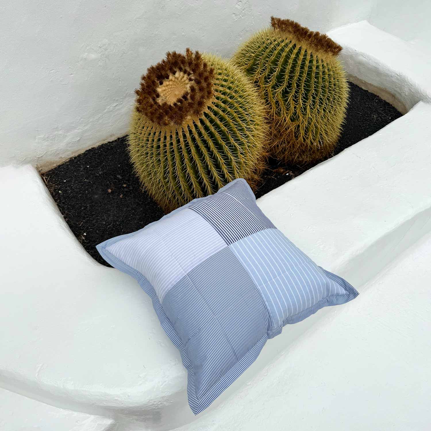 Blue pillow on a white surface with two cacti in the background